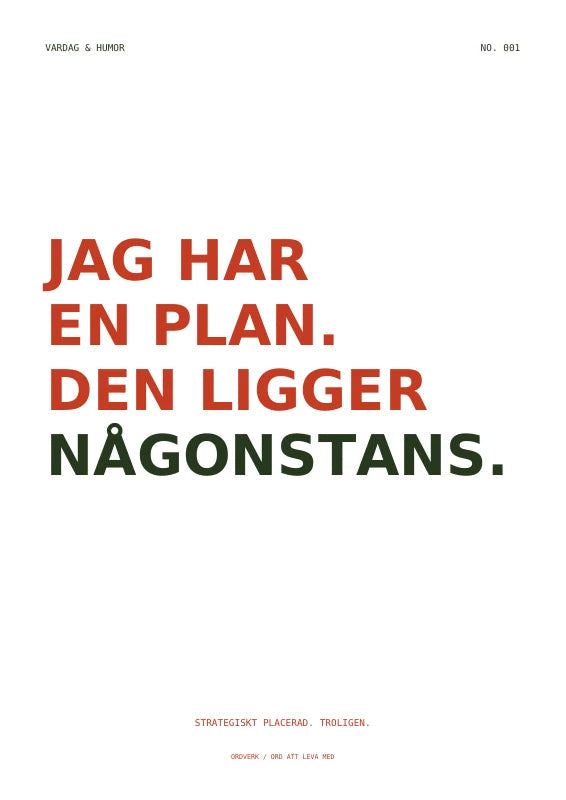 Jag har en plan. Den ligger någonstans.