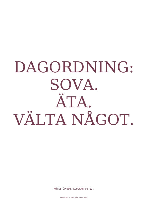 Kattens möte