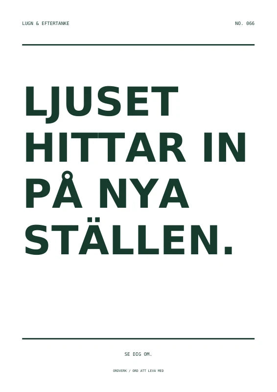 Dagens ljus