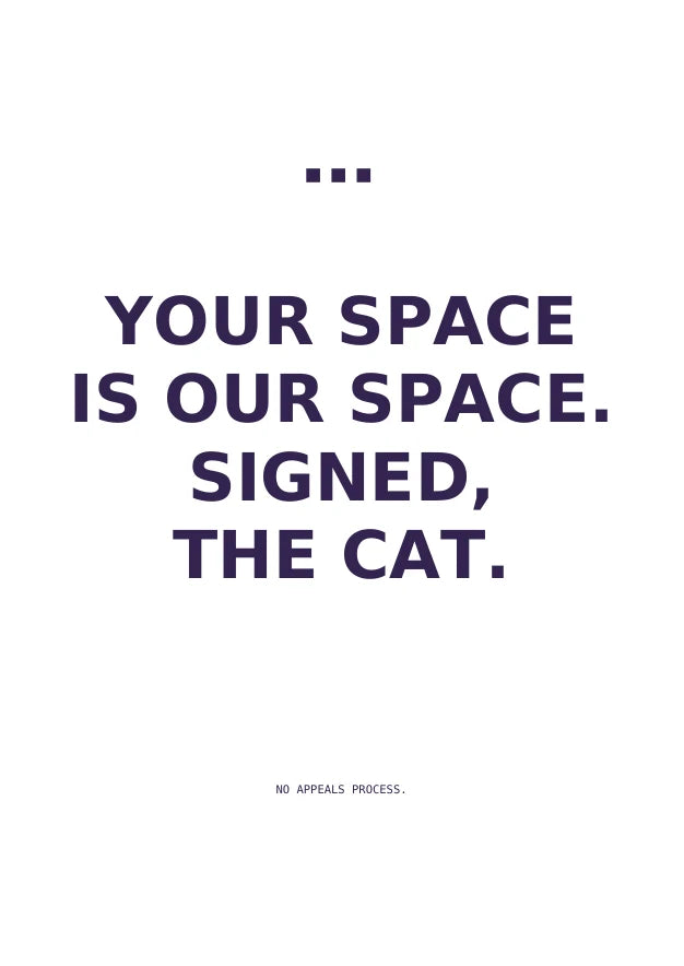 Personal Space | English