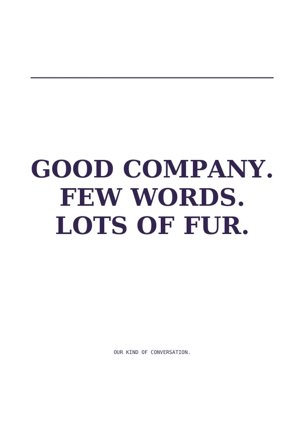 Quiet Company | English