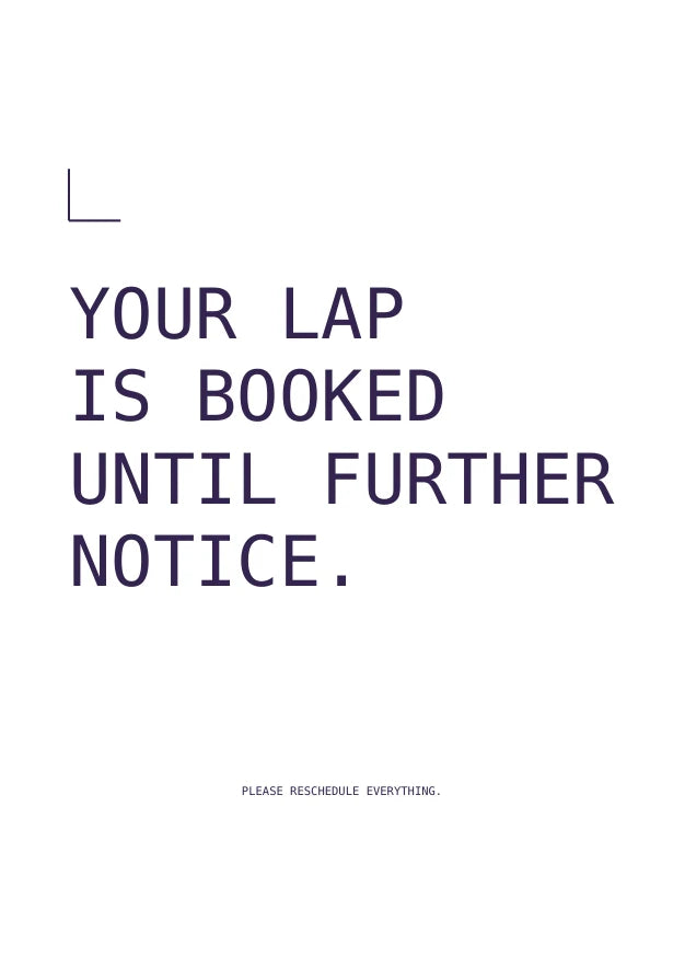 Lap Appointment | English