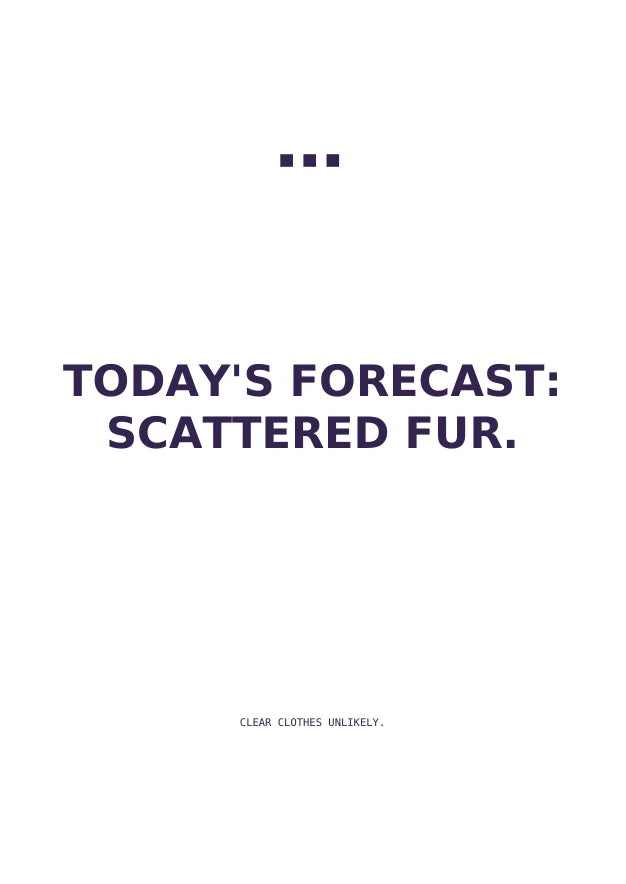 Fur Forecast | English